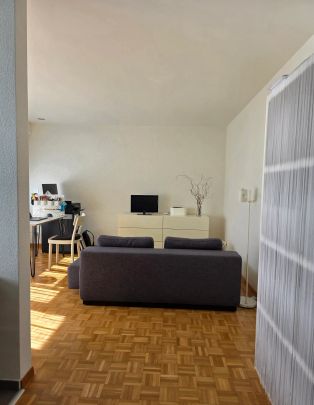 2.5 Zimmer, 58 m², 1. Stock - Foto 1