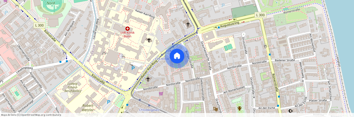 Peter-Ruster-Str. 1A, 53111, Bonn