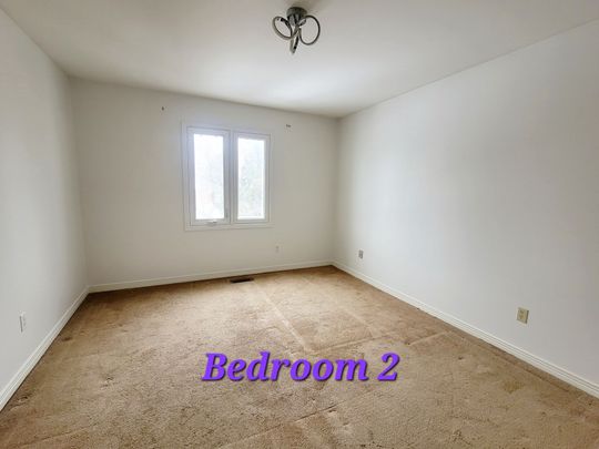 For Lease - 29 Worthington Avenue, Richmond Hill, Ontario - Photo 1