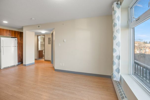 Lovely 1 Bedroom Apartments in the Heart of Red Deer! - Photo 1