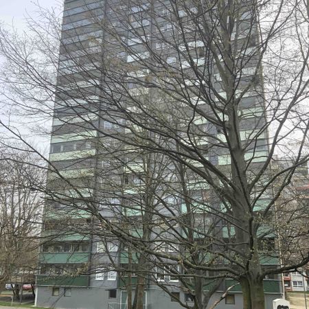 Hübsche Single Wohnung in Kassel-Brückenhof - Photo 3