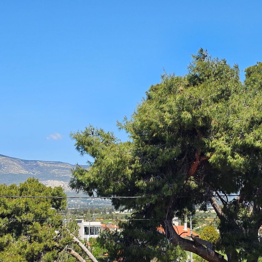 Μεζονέτα για ενοικίαση Αδάμες (Οικισμός Γράμμος - Φοίνικας) (Κηφισιά) - Photo 1