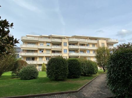 Beautiful apartment close to the lake and all shops! - Photo 4