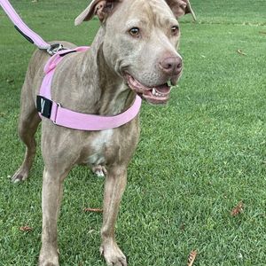 Applecross - Photo 3