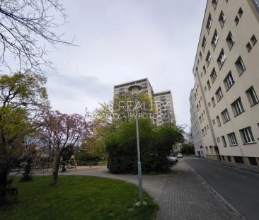 Pronájem - cihlový byt 1+kk 14 m - Fotografie 3