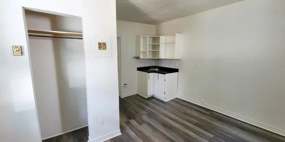 243 Rue Papineau (Hull) Studio Rénové - Photo 3