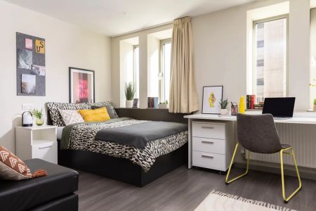 Large High Double Studio - Photo 5