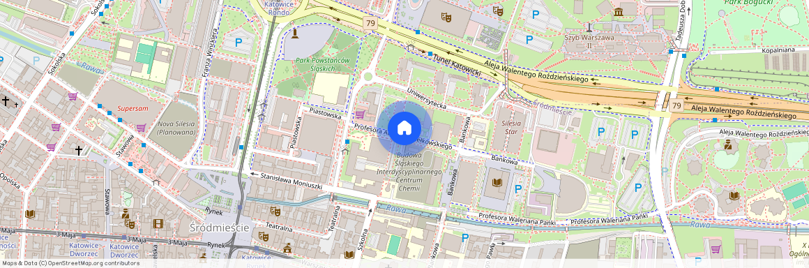 ul. prof. Augusta Chełkowskiego, Śródmieście, Katowice, śląskie