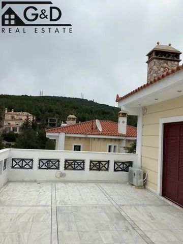 Βίλα για ενοικίαση Καστρί - Πολιτεία (Νέα Ερυθραία) - Φωτογραφία 4