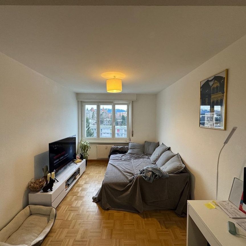 Bel appartement de 2 pièces au 6ème étage à Fribourg - Photo 1