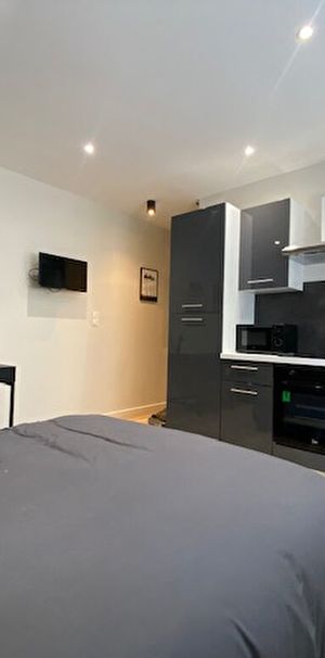 Studio meublé- Parfait état- 20m2 - Photo 1