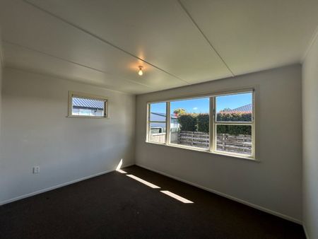 Large Sunny Deck - Mt Maunganui - Photo 3