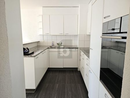 TRAUMHAFTE SICHT ÜBER DAS LIMMATTAL - Foto 4