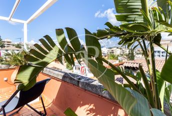 Apartment for rent in Son Armadams