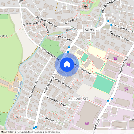 9524, Zuzwil, Wiesengrundstrasse, 4