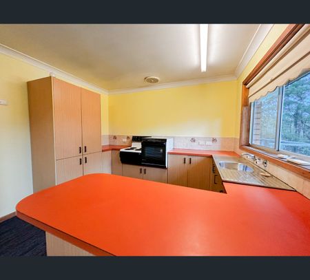108B Williams Road, Bonville, NSW 2450 - Photo 5