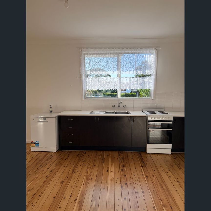 Newly painted House to rent. - Photo 1