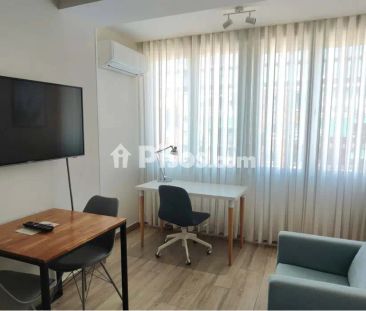 Estudio en alquiler en Paseo de la Castellana - Foto 1