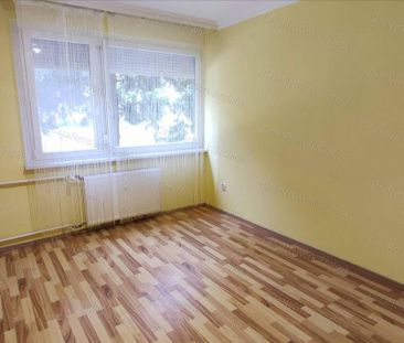 Kiadó felújított panel lakás - Szolnok - Photo 6