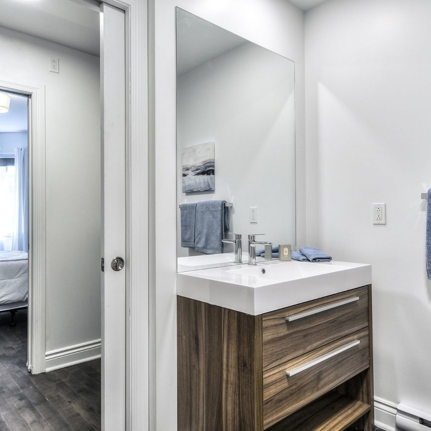 Condo for rent, Montréal (Le Plateau-Mont-Royal) - Photo 1