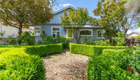 Pride On Preston - Photo 5