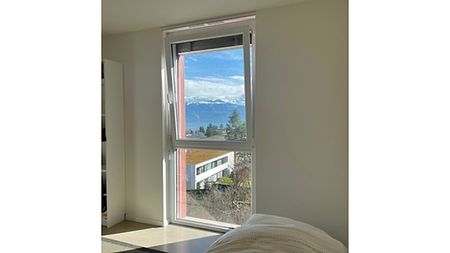 4½ Zimmer-Wohnung in Lausanne - Sallaz/Vennes/Séchaud, möbliert, auf Zeit - Foto 3