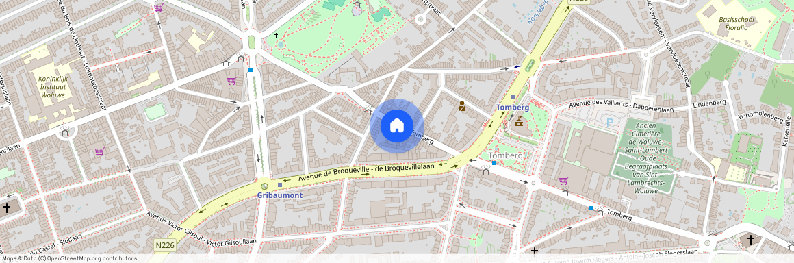 Tomberg, 219, 1200, Woluwe-Saint-Lambert