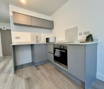 The Wheelhouse - Photo 3