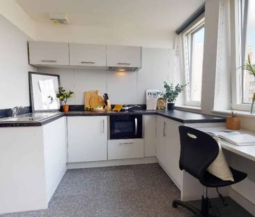 Bronze Studio Plus - Photo 4