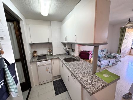 Apartamento en Benidorm, La Cala - Hotel Bali, alquiler - Photo 2