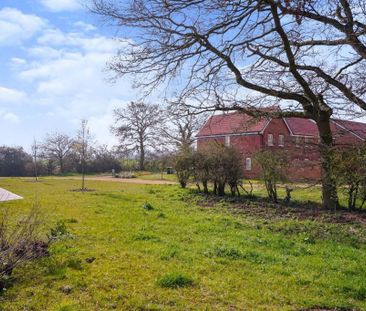 Linnet Grove, Didcot - Photo 4