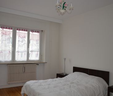 Location Appartement 3 pièces 98m² ALTKIRCH 68130 - Photo 3