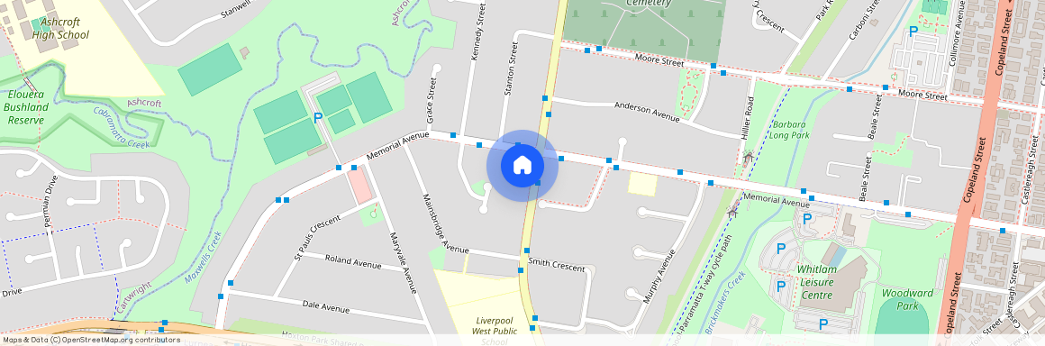 96a Flowerdale Road Liverpool, NSW 2170