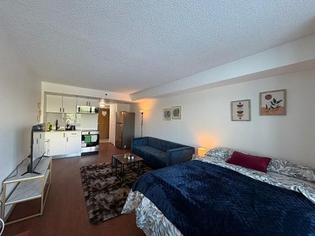 Furnished studio apartments available close to University of Ottawa - Photo 3