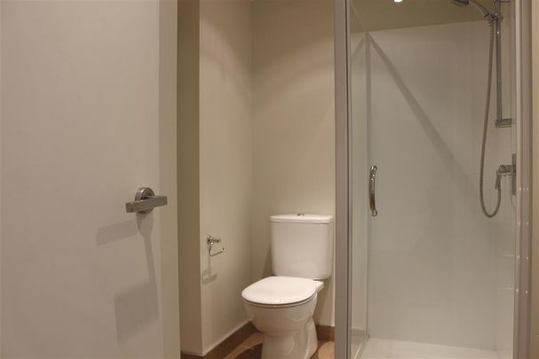 Furnished CBD 2 Bedroom Apartment - Photo 1