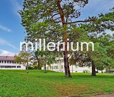 Villa familiale à Troinex avec terrasse et petit jardin - Foto 4