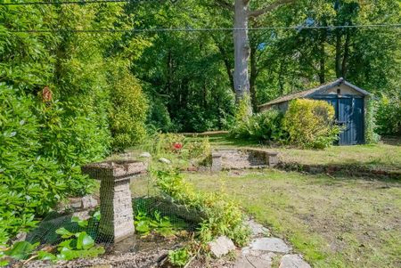 3 bedroom house to rent - Photo 5