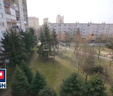 Mieszkanie na wynajem Piotrków Trybunalski - Wygodne dwupokojowe mi... - Photo 4