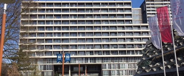 Professor de Moorplein, 248 - Photo 1