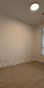 BRAND NEW PENTHOUSE – 1BD - IN LANGLEY FOR RENT - Photo 4