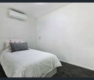 104a/250 Flinders St, Adelaide SA 5000 - House For Rent | Domain - Photo 5