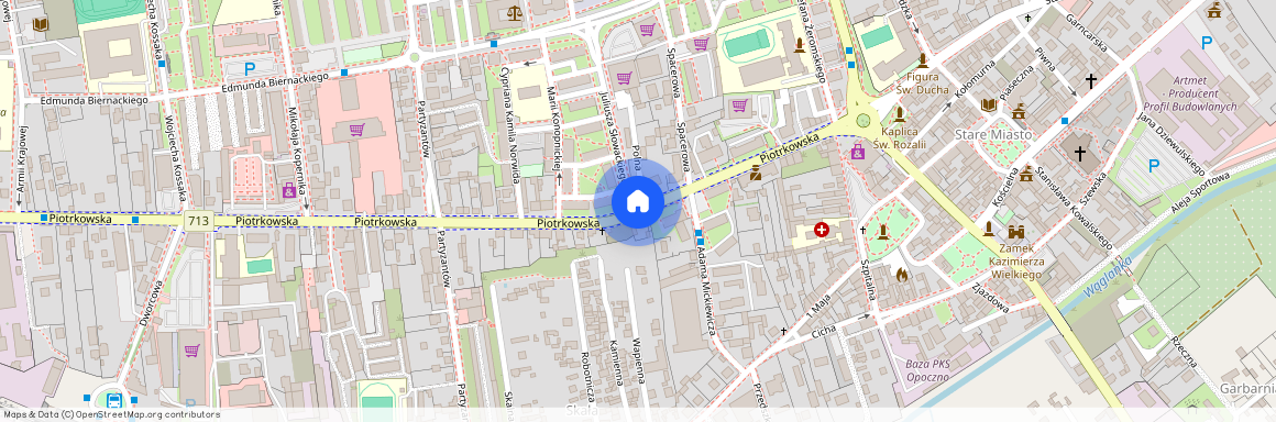 Opoczno, Opoczno, opoczyński, łódzkie