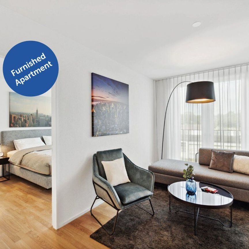 Basel-Münchenstein – 7 min. from the SBB train station in Basel - Photo 1