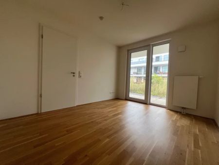 Gemütliche Single- oder Pärchenwohnung an der Weser - Photo 3