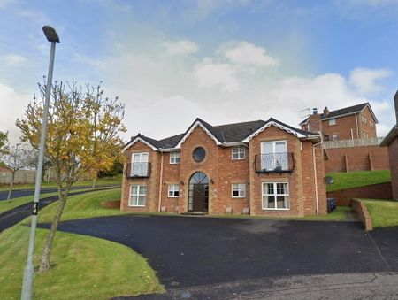 The Old School Field, Drumahoe, Londonderry, BT47 3GX - Photo 4