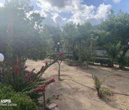 Μονοκατοικία για ενοικίαση - Παλαιά Φώκαια - Photo 4