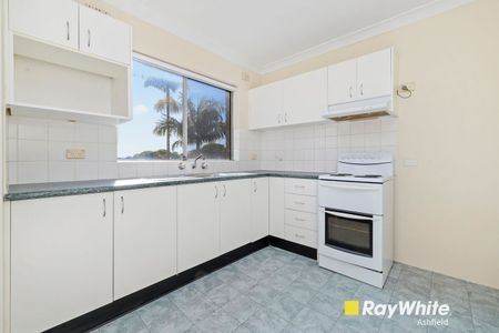 Stylish One-Bedroom Apartment in the Heart of Enmore - Photo 5