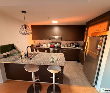 1401-10150, Place de l'Acadie, Ahuntsic / Cartierville à louer - Photo 5