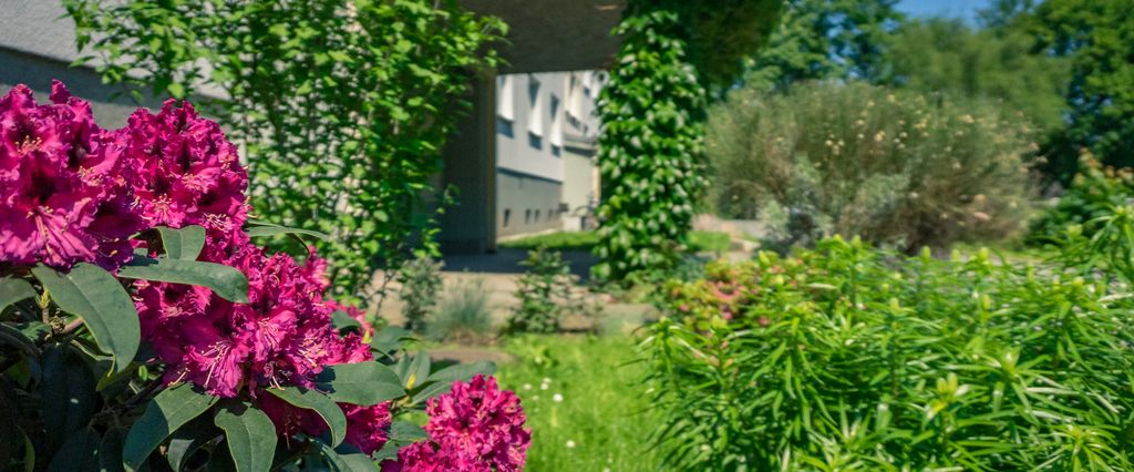 2-Raum-Wohnung - Foto 1