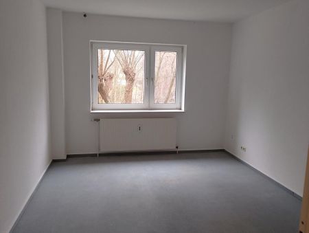 2 Zi. Whg. 51qm² Dornbreite Lübeck ab 01.03 EG Balkon Stellpl - Foto 4